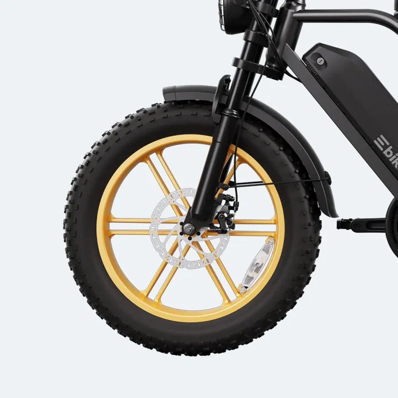 R9 1500W Full-Suspension Moped