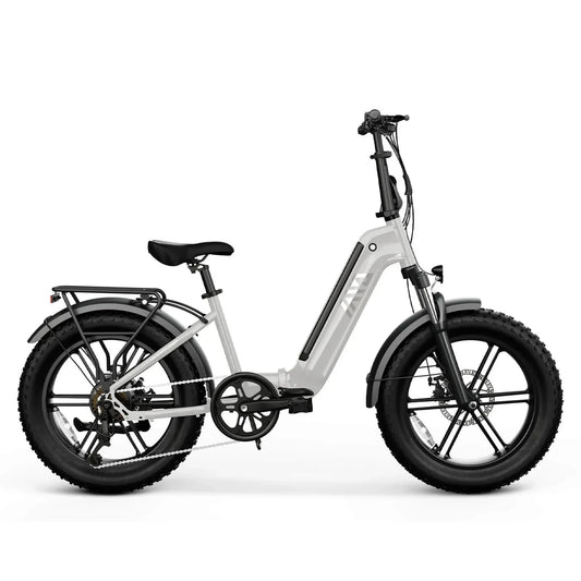 Buddy Pro 20'' Folding